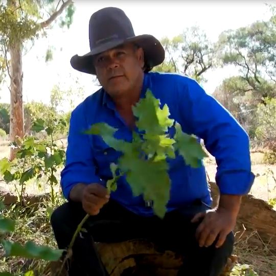 A PACM team member working on Country